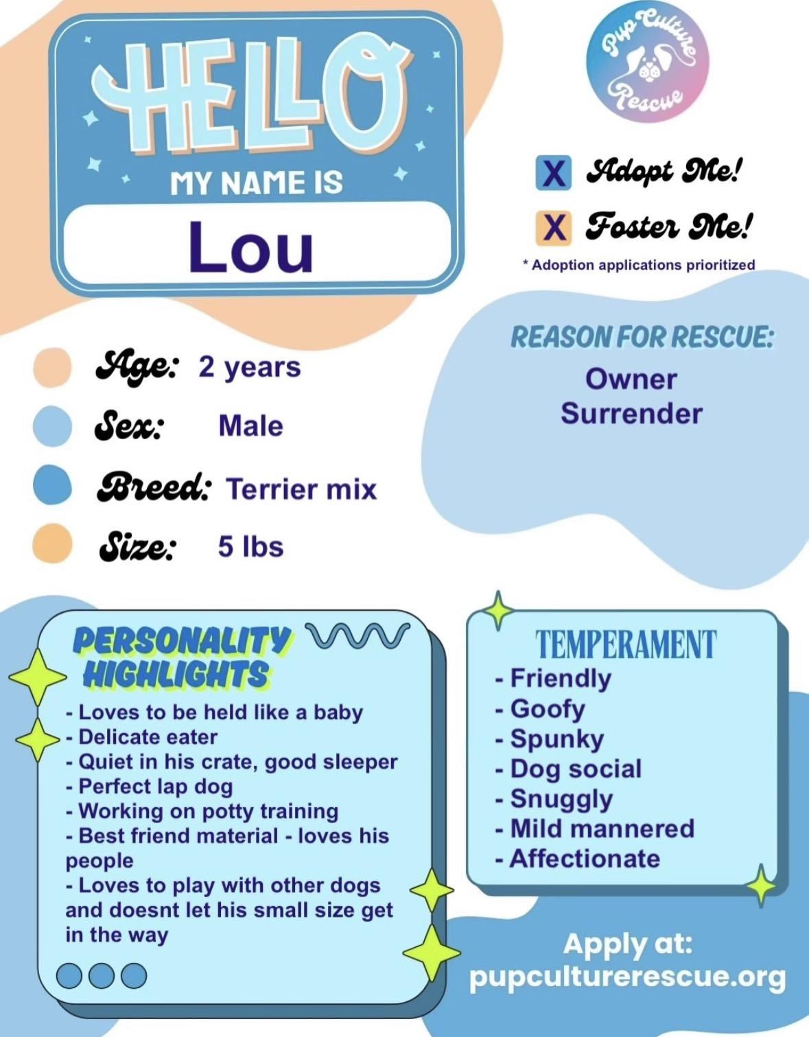 Enlarge Lou, a ADOPTABLE mixed breed in Pasadena, CA image 2/5