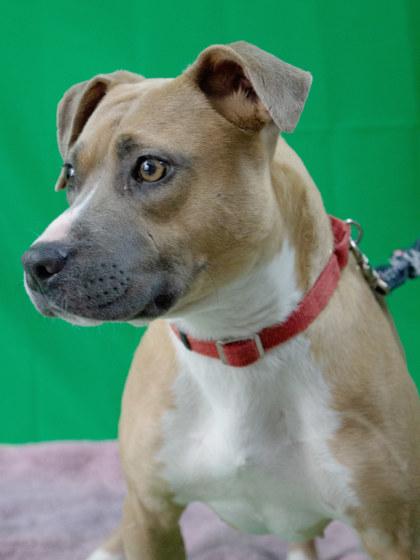 Carol — thumbnail 2