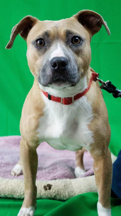 Carol — thumbnail 3