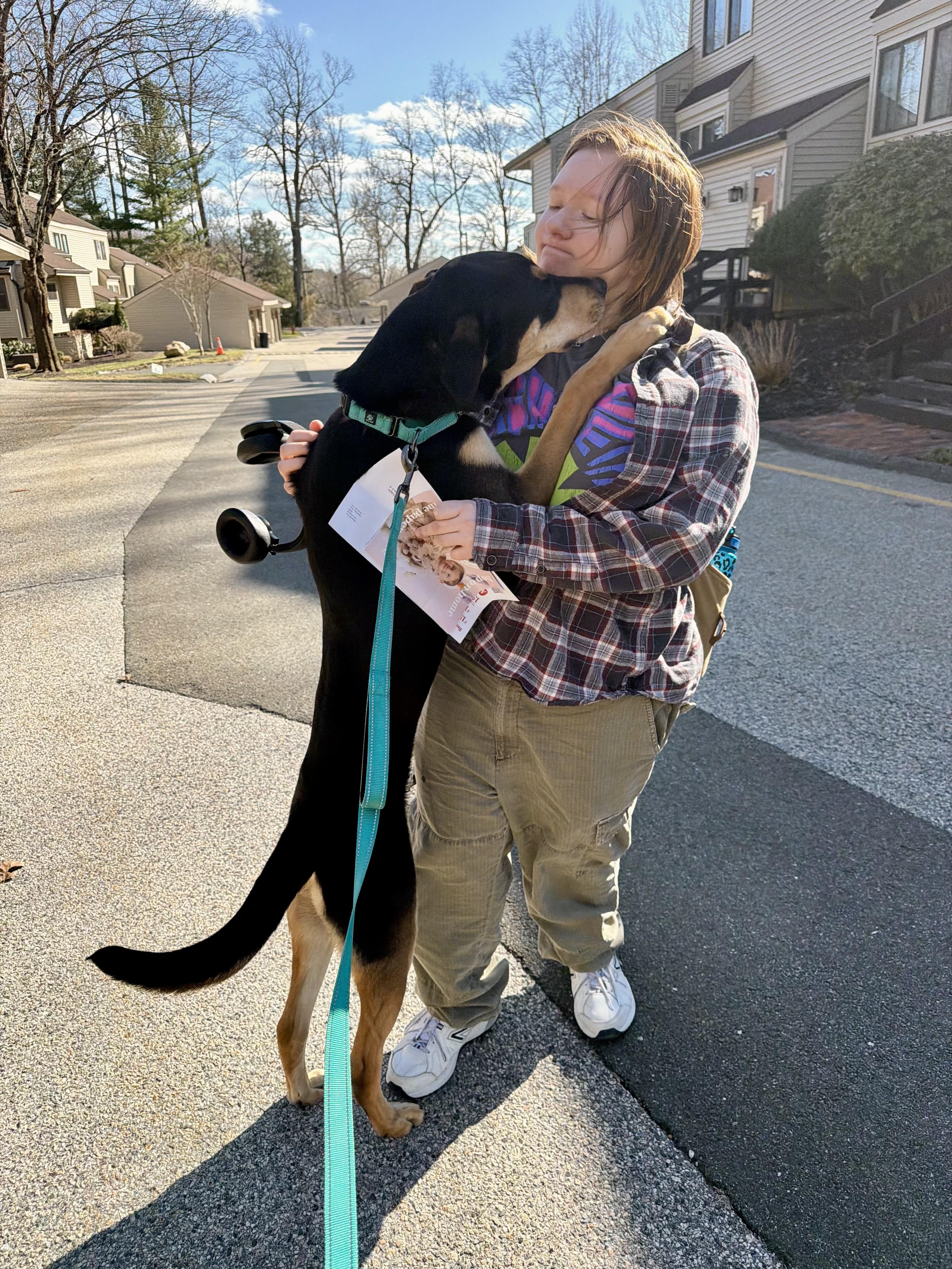 Enlarge Toby, a ADOPTABLE mixed breed in Bethel, CT image 4/6