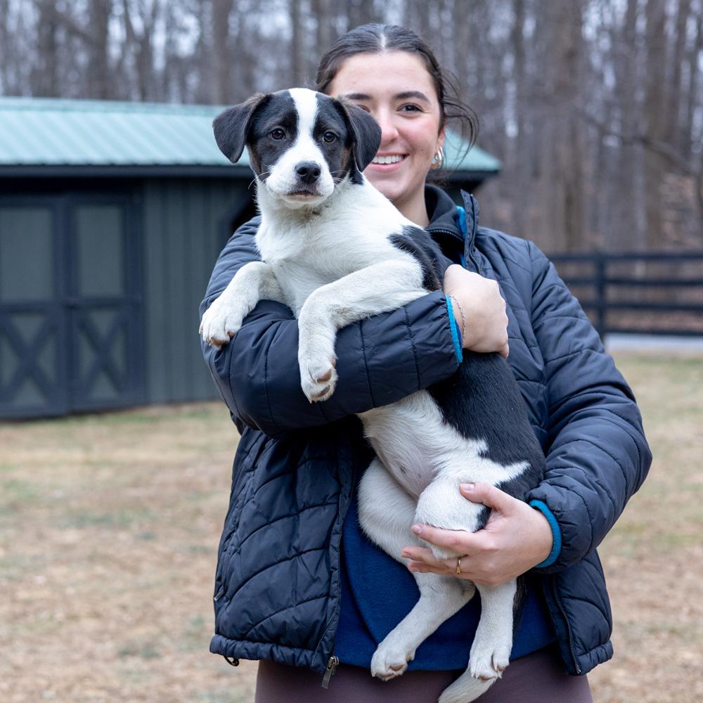 Kara (Female) , a Adoptable mixed breed in West Grove, PA image 4/6