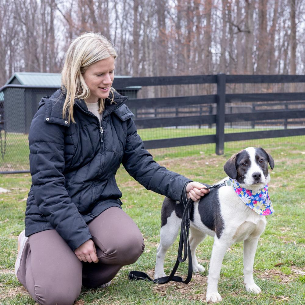 Enlarge Kara  (Female) , a Adoptable mixed breed in West Grove, PA image 4/6