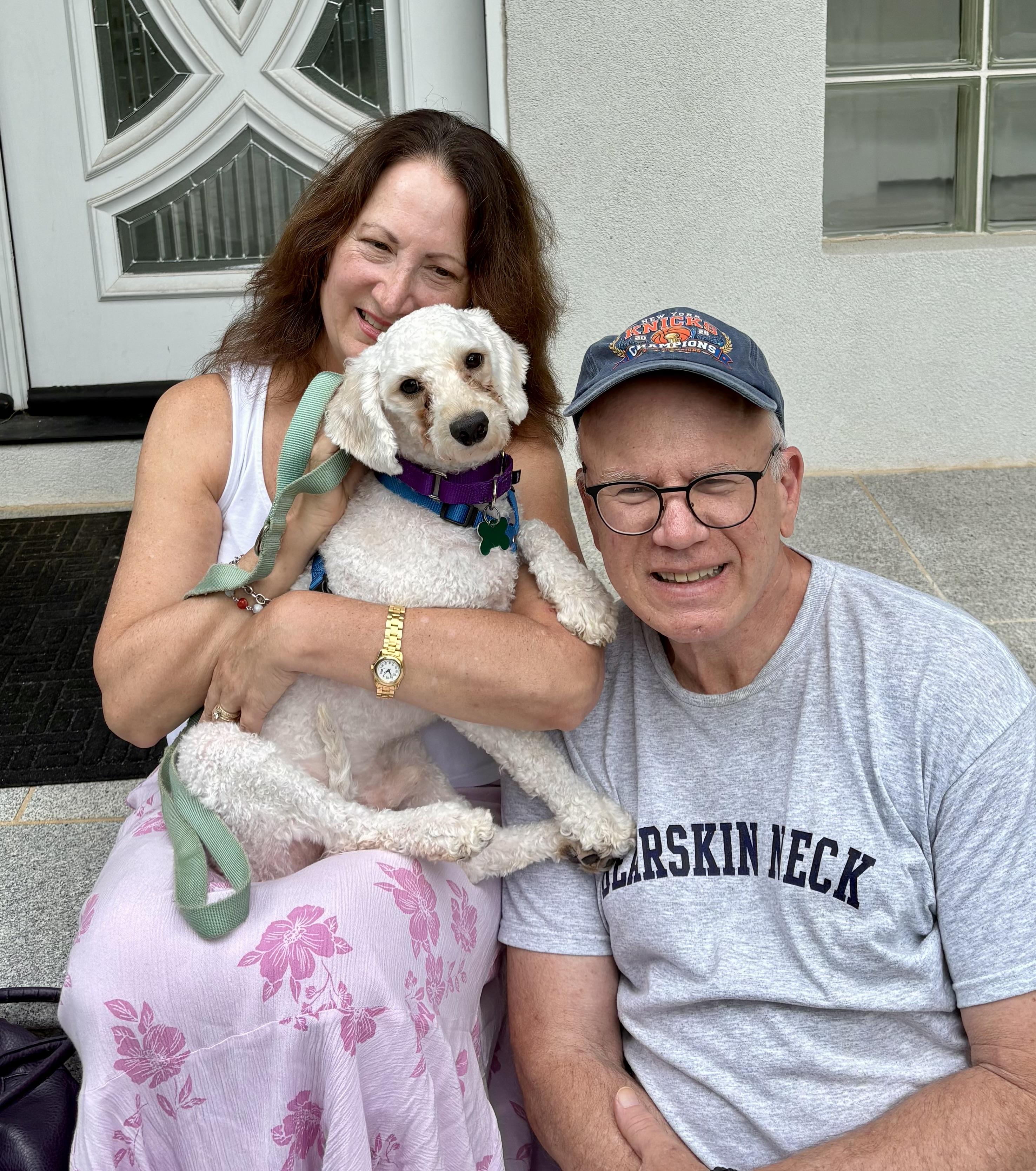 Enlarge Jacques - Adoption Pending, a ADOPTABLE Poodle in Warren, NJ image 1/6