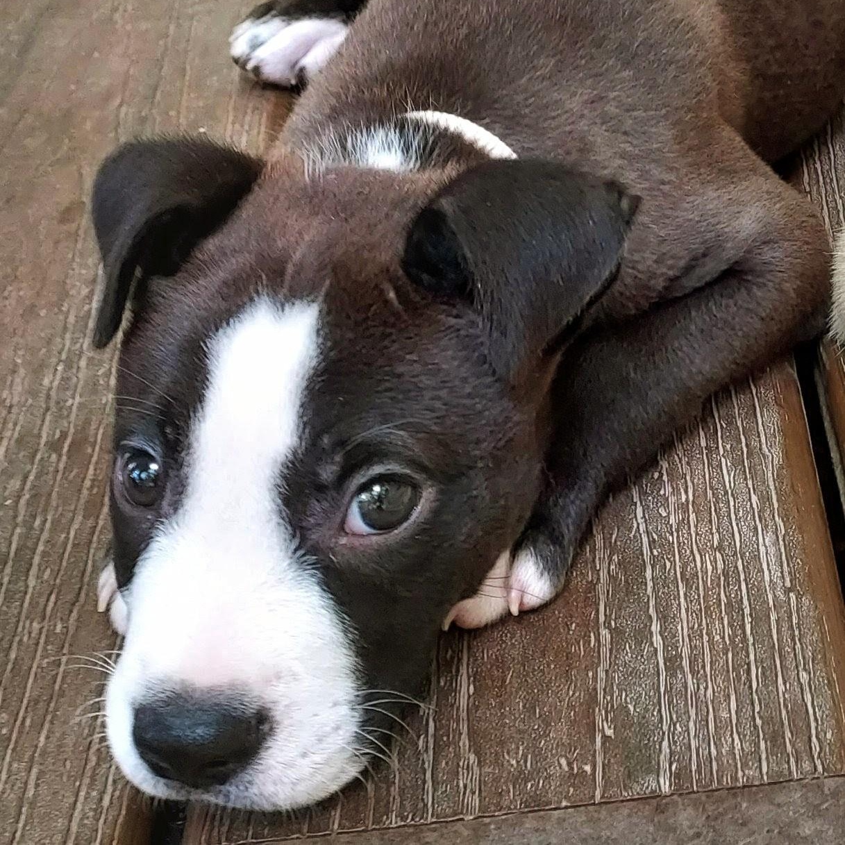 Walter