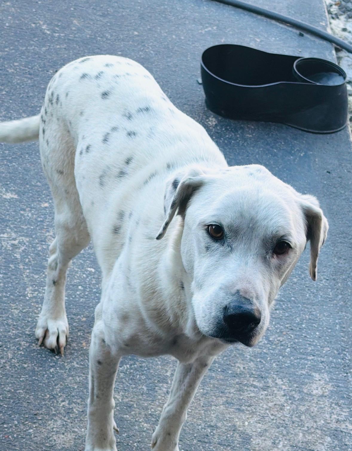 Bonny — thumbnail 2