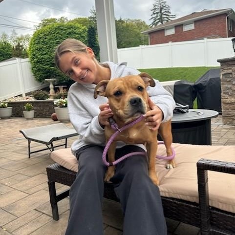 Mimi, a ADOPTABLE Mixed Breed in Wayne, NJ image 3/3