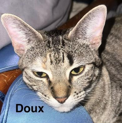 Doux — thumbnail 2