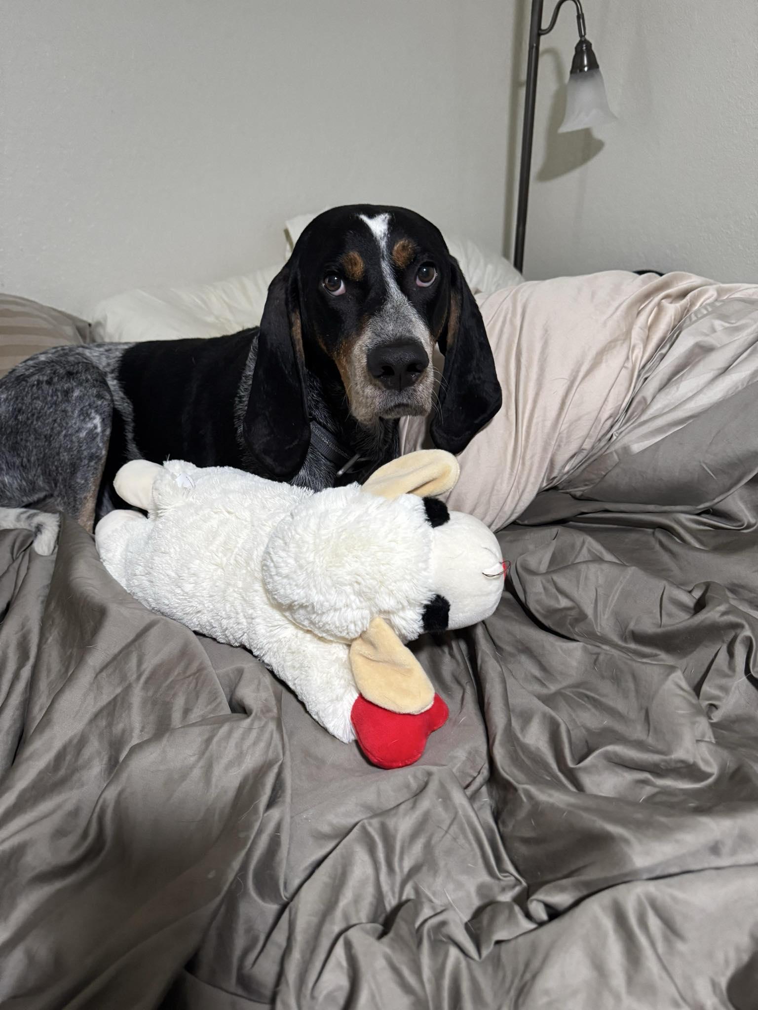 Jack Ryan thumbnail 2