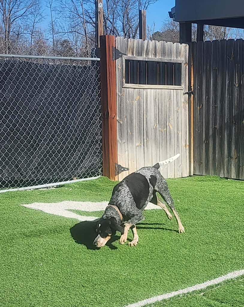 Jack Ryan thumbnail 3