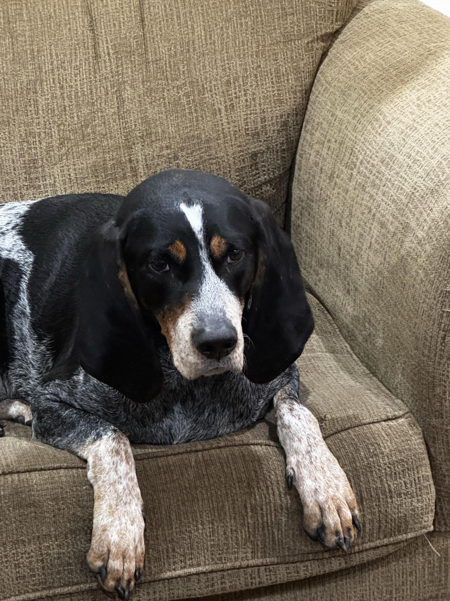 Jack Ryan thumbnail 4