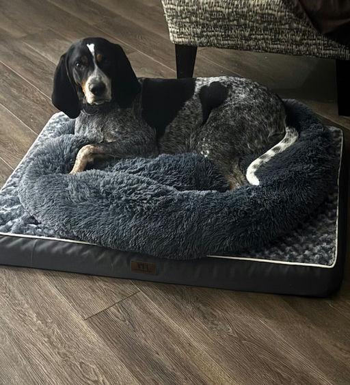 Jack Ryan thumbnail 5