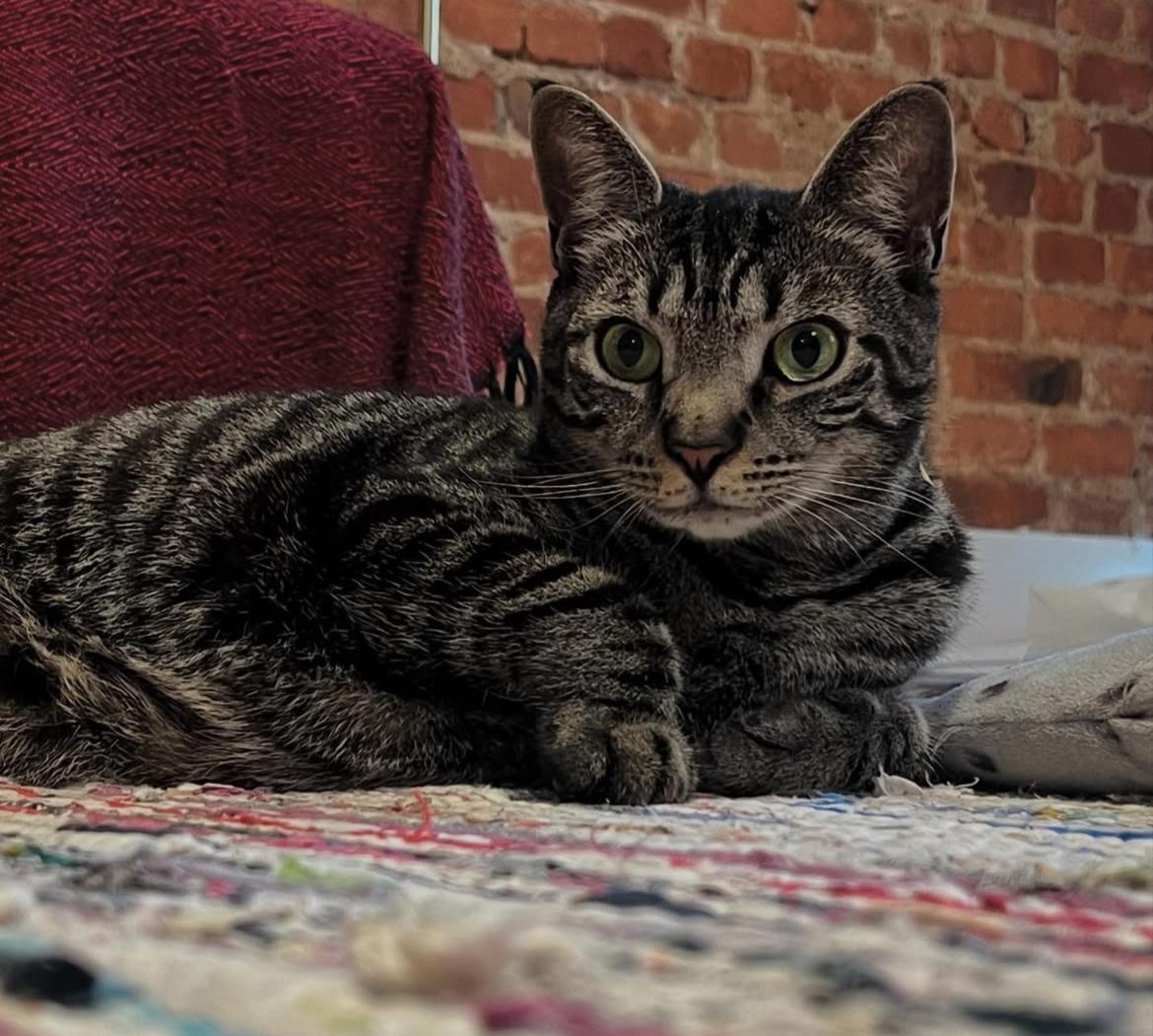 Eliot photo 3