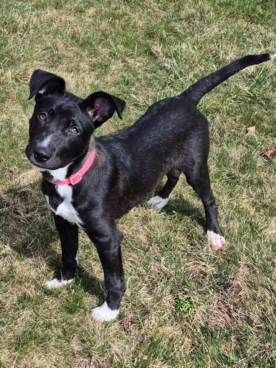 Markayla — thumbnail 2