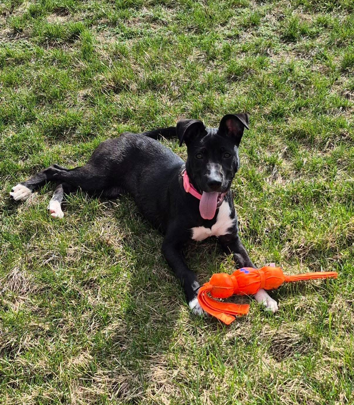 Markayla — thumbnail 3