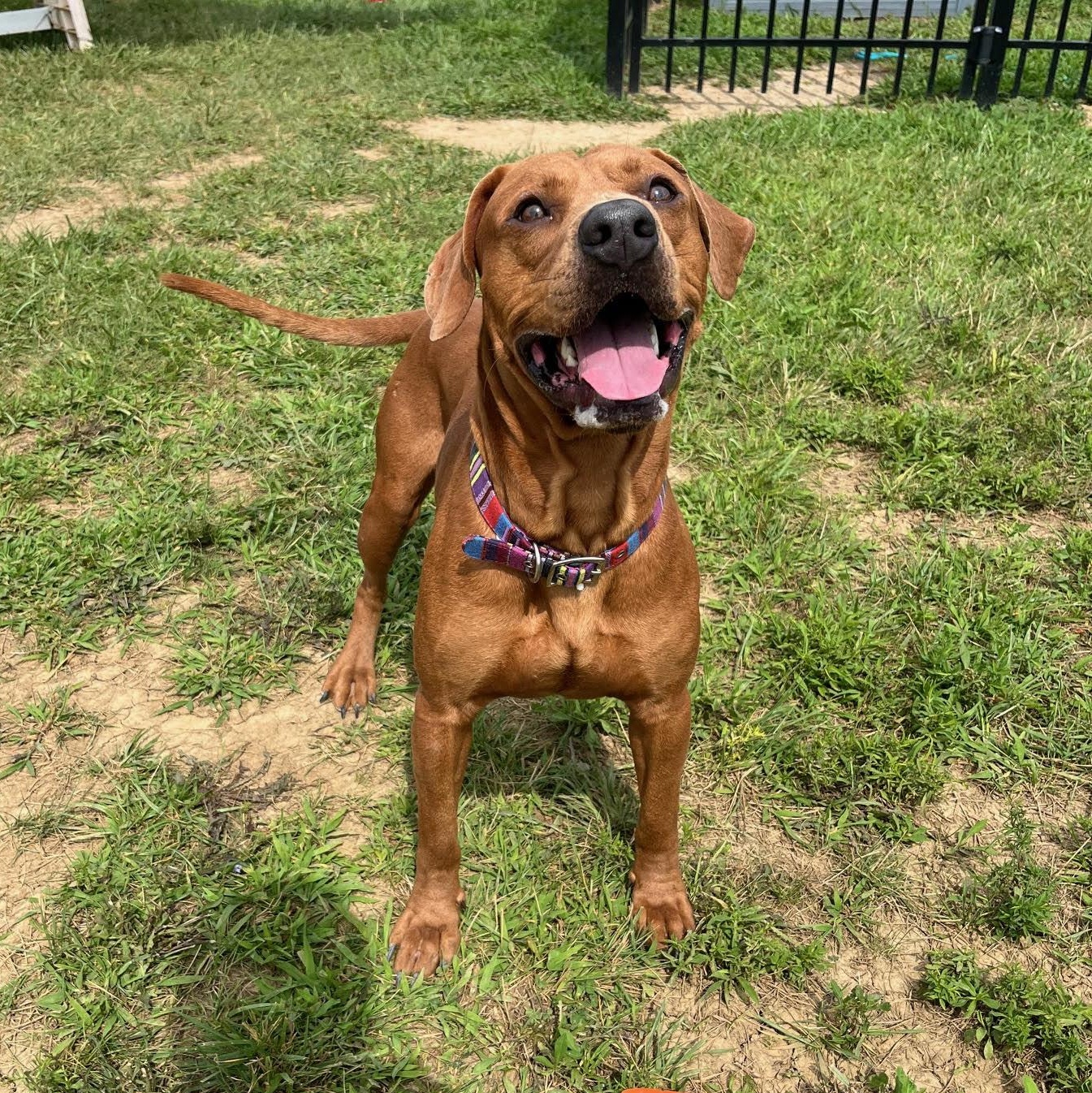 Dave @ Prison Program thumbnail 5