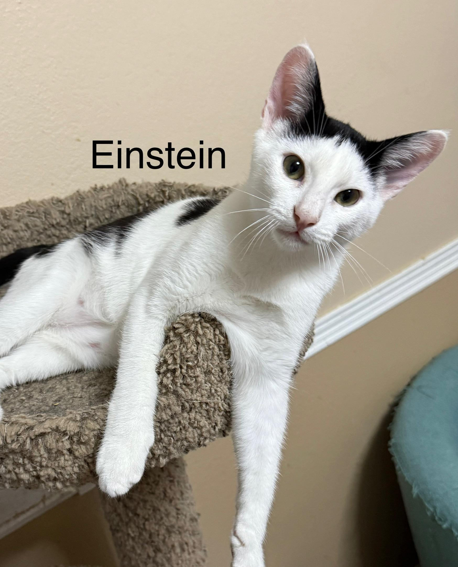 Einstein