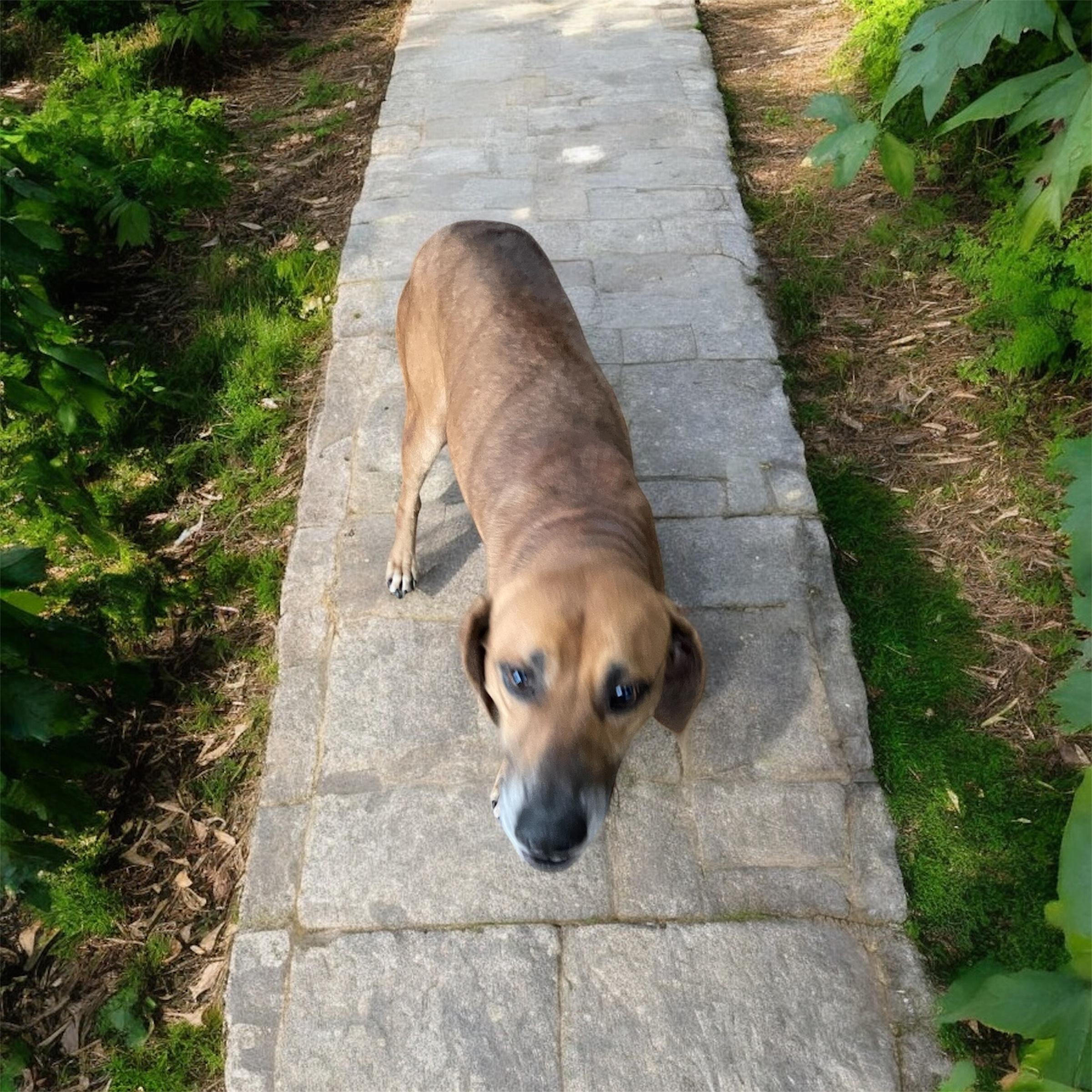 Tucker — thumbnail 4