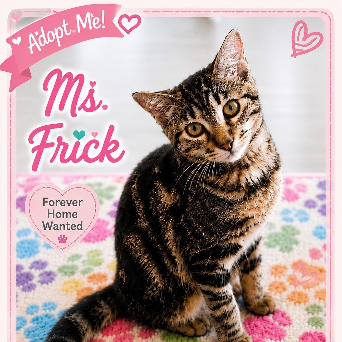 Ms. Frick, a ADOPTABLE Domestic Short Hair in West Orange, NJ image 1/3