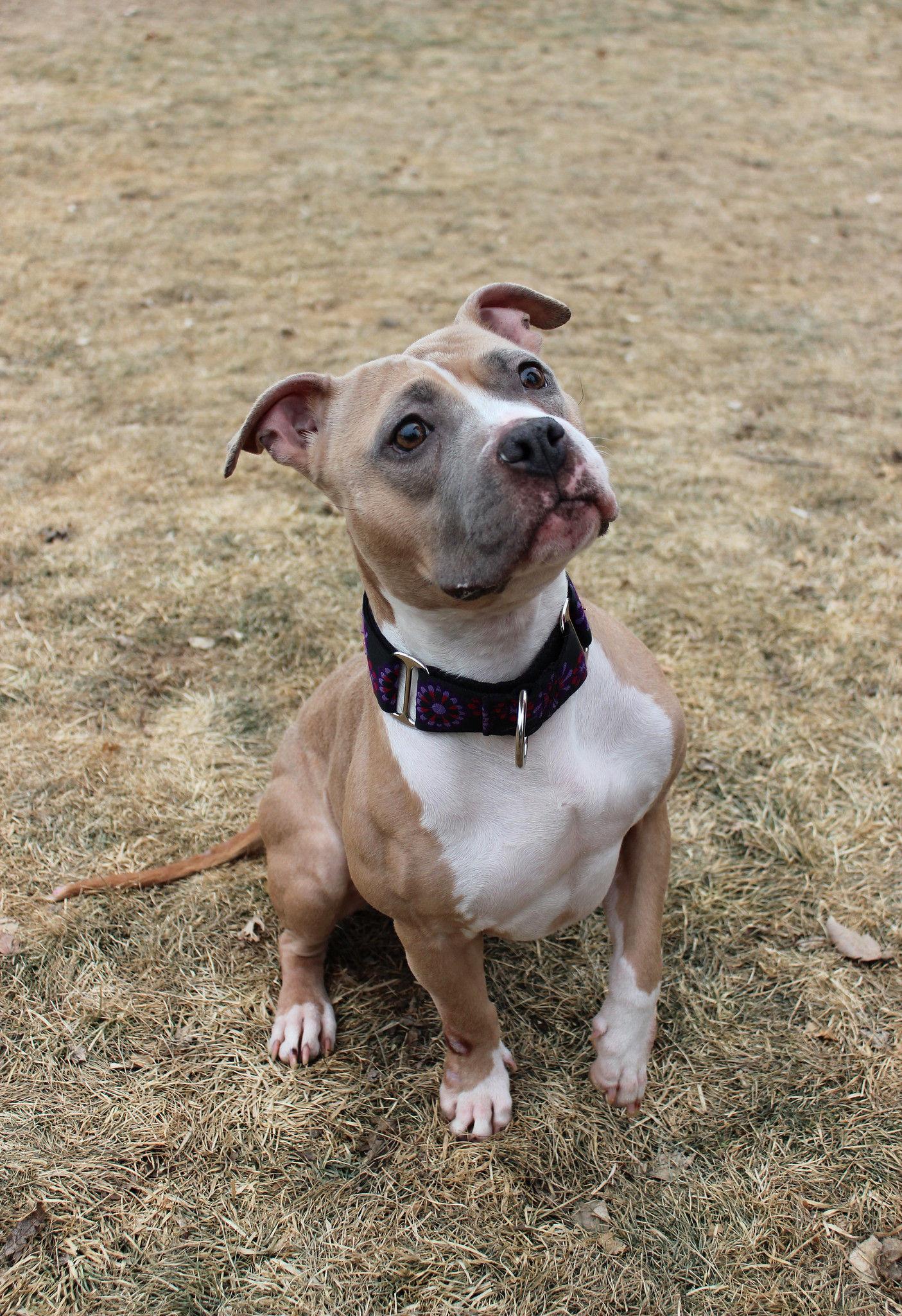 Ellie Mae thumbnail 5