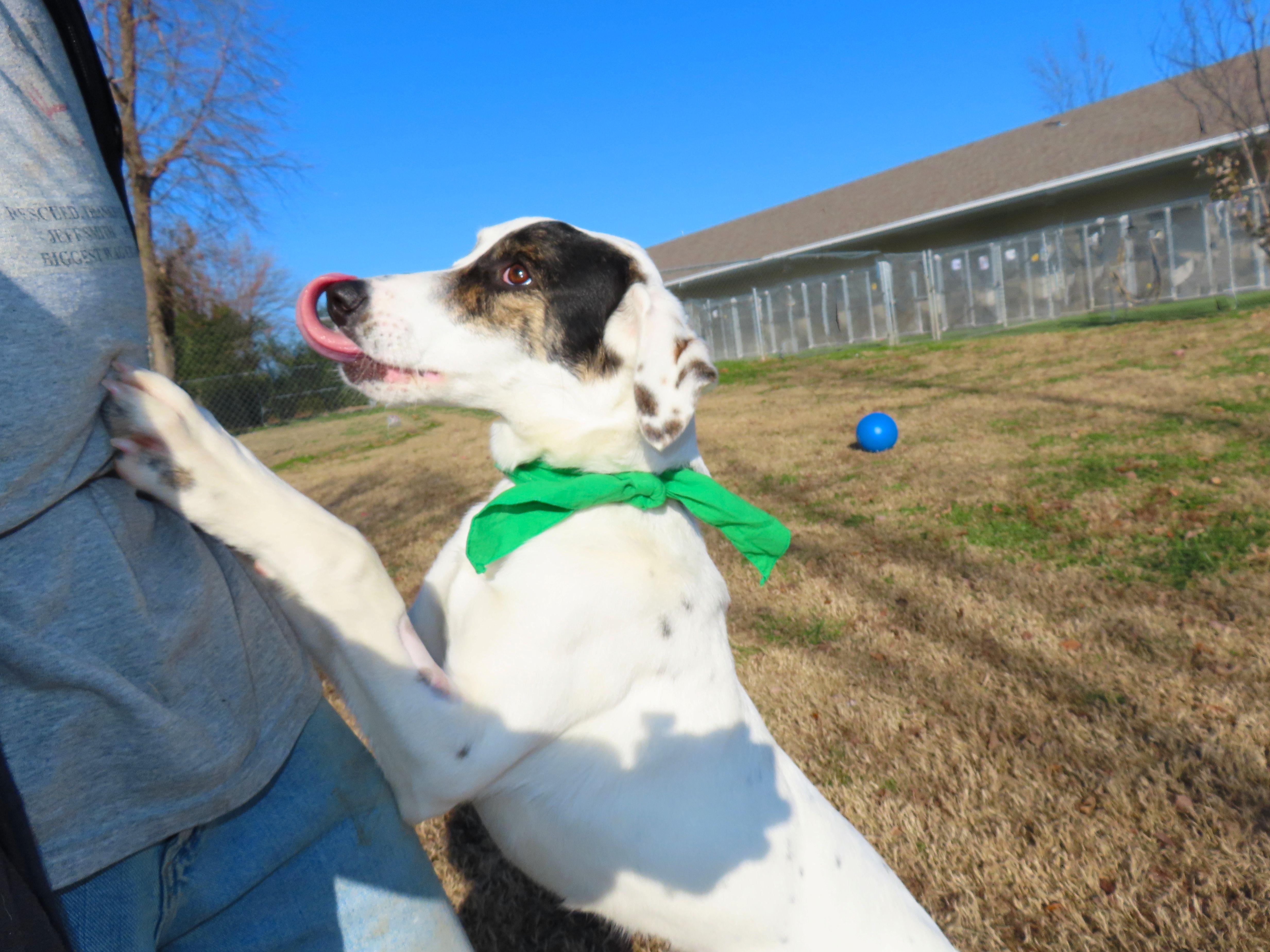 Clairice  C thumbnail 3