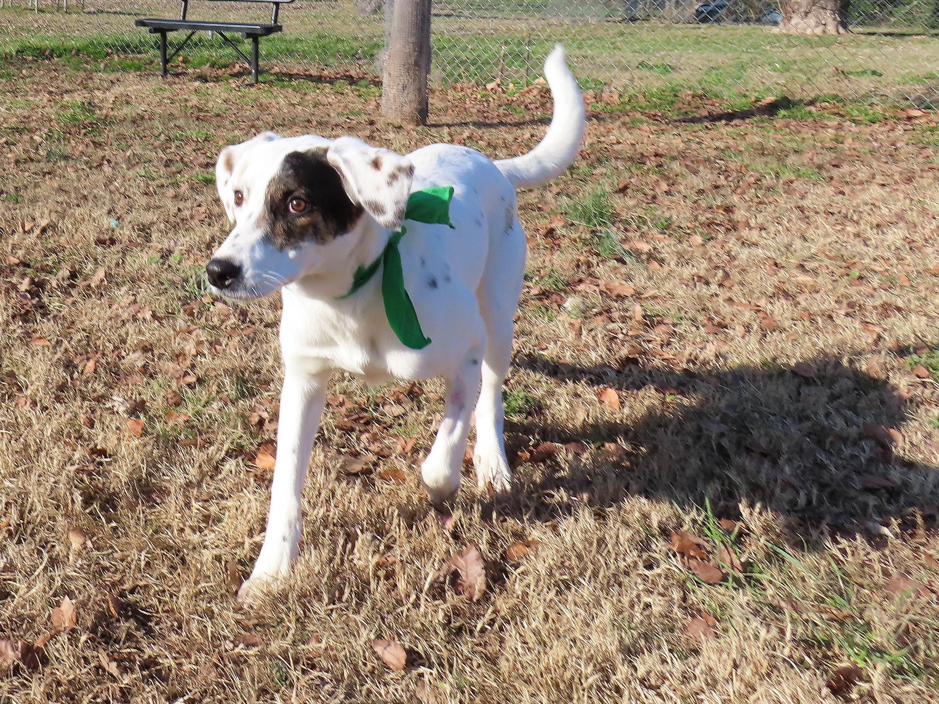 Clairice  C thumbnail 4