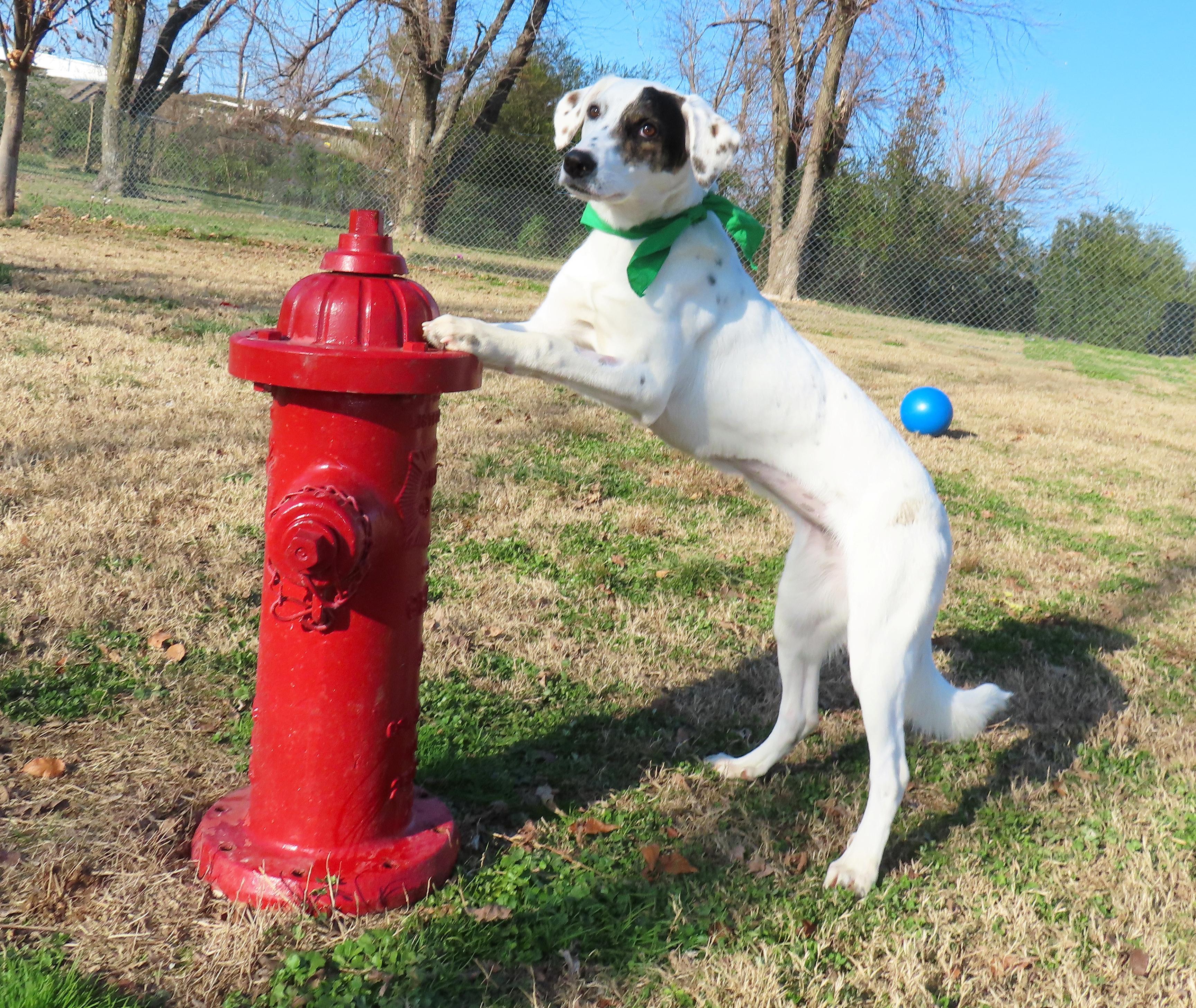 Clairice  C thumbnail 5