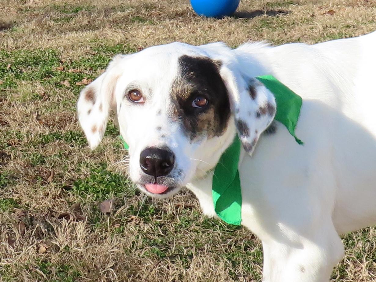 Clairice  C thumbnail 6