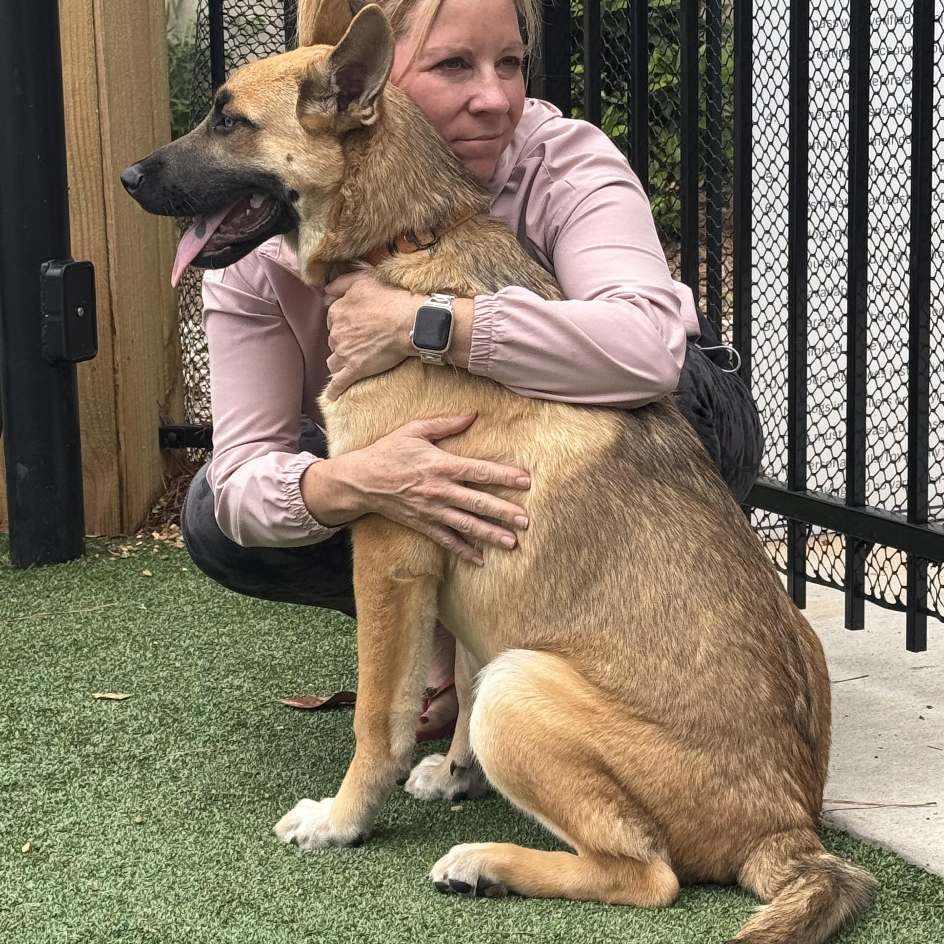 Mak CP, a Adoptable mixed breed in Cumming, GA image 2/5