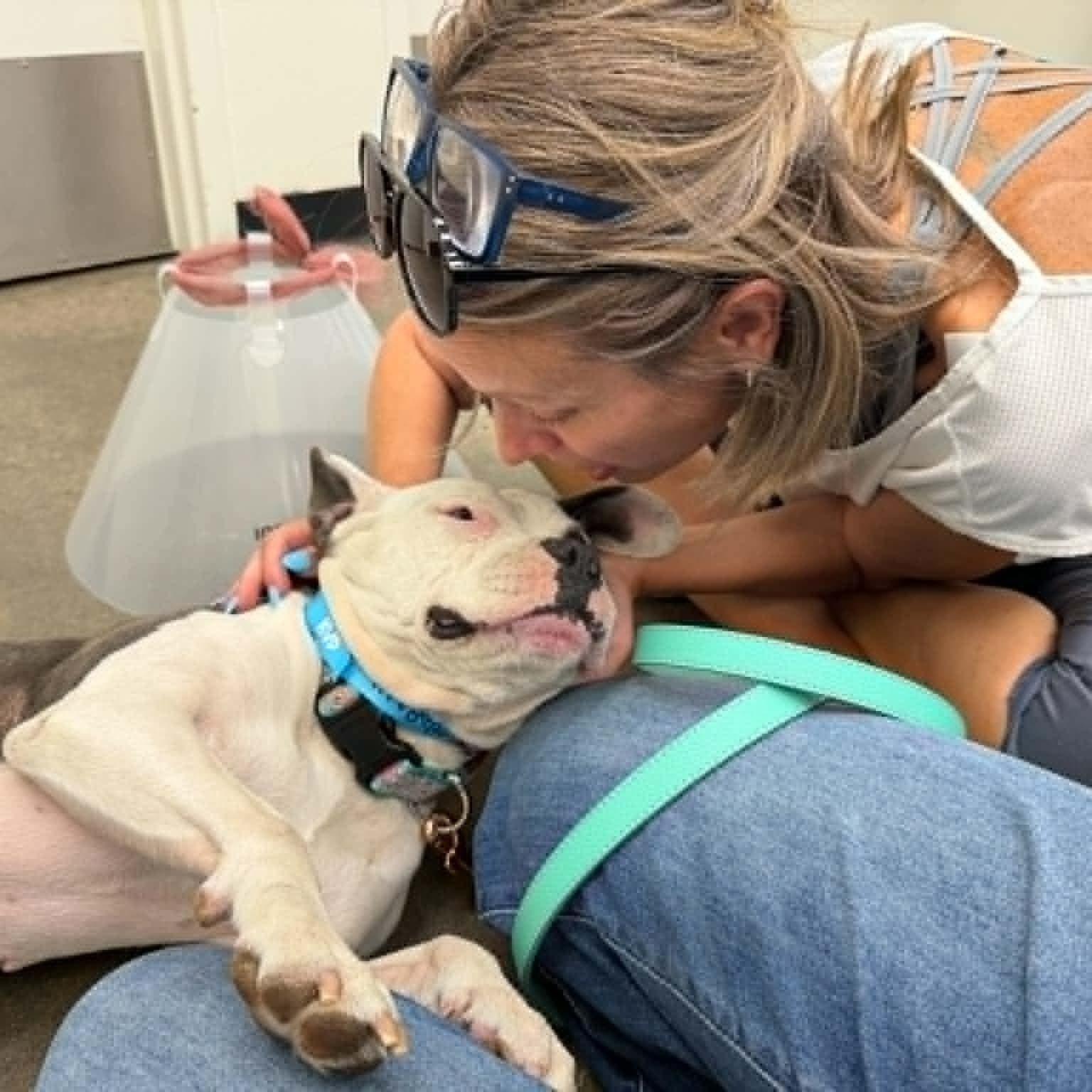 Betsy, Adopted, Adult Female Pit Bull Terrier.