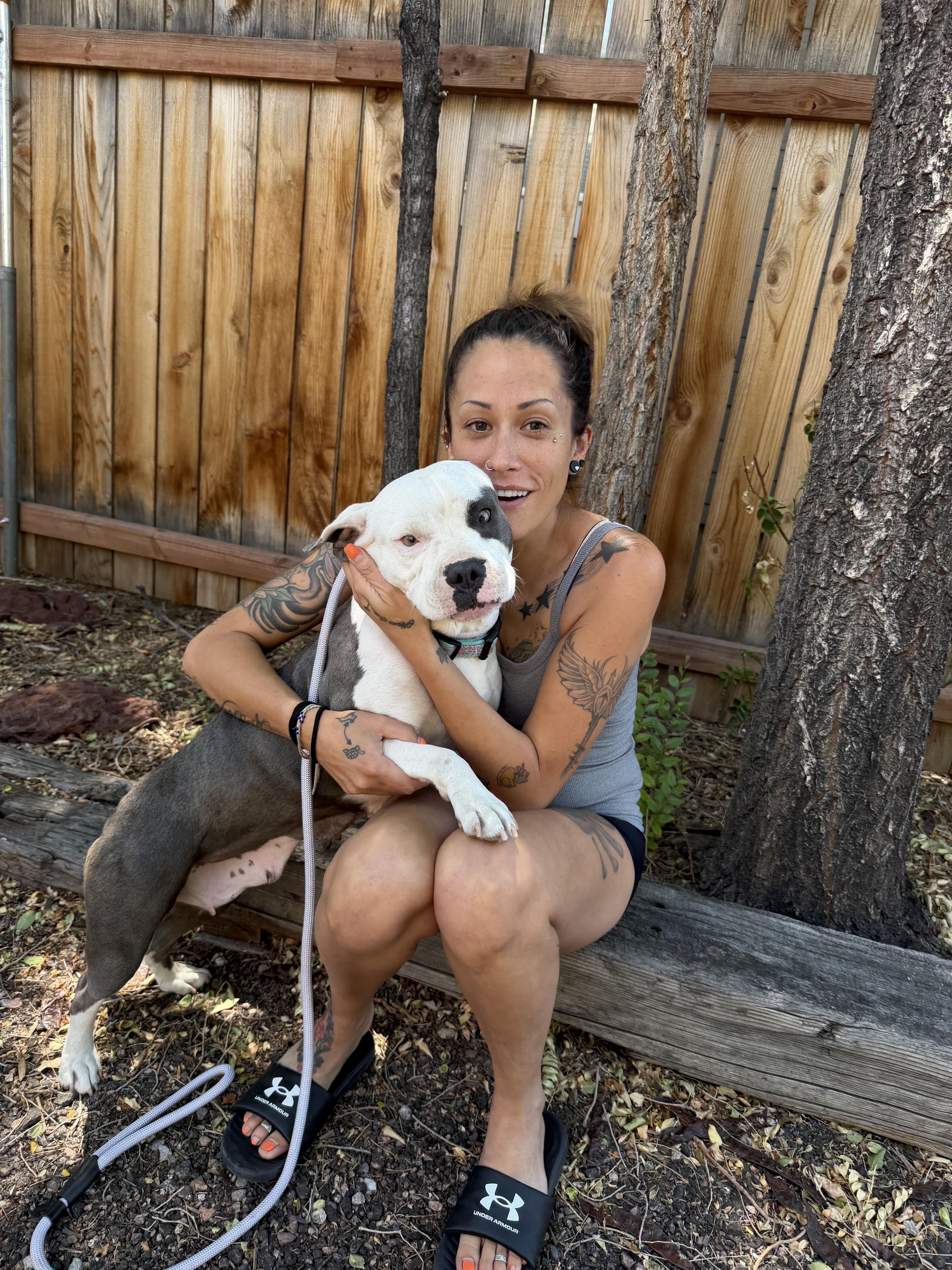 Betsy, a Adopted mixed breed in Colorado Springs, CO image 3/5