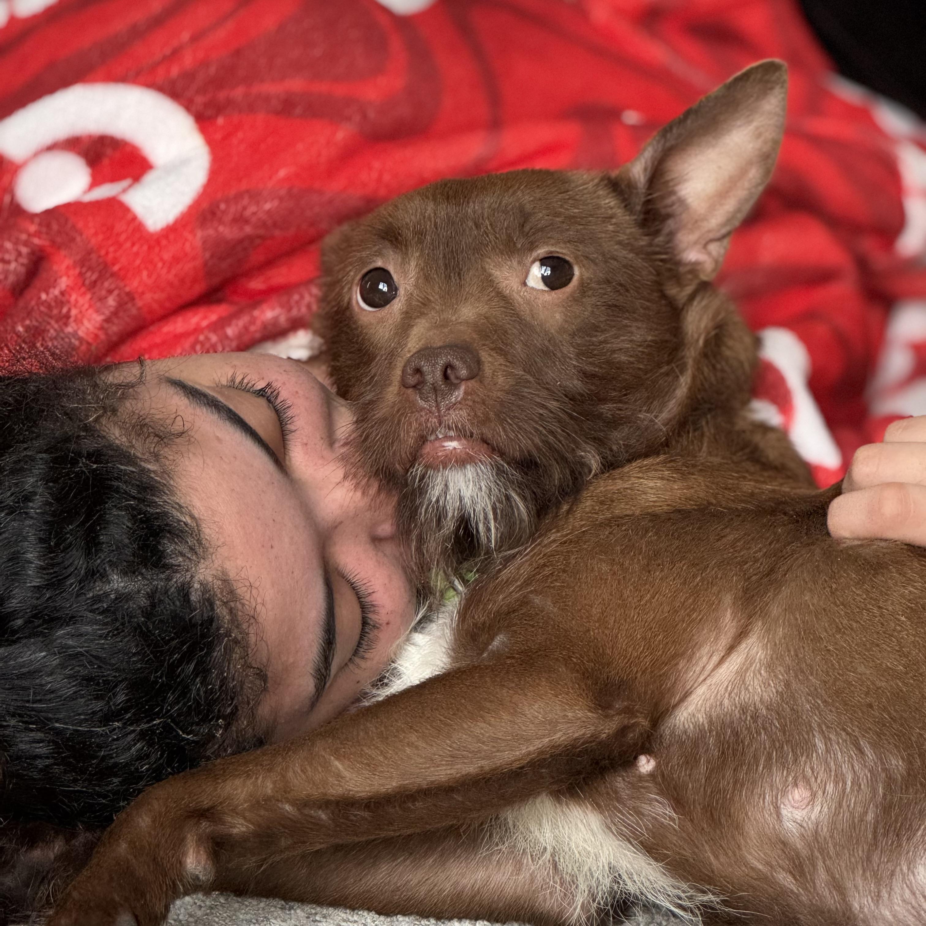 Enid- Adoption Pending