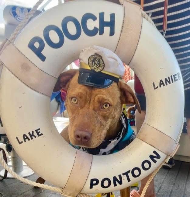 Cooper and Monte - can be separated