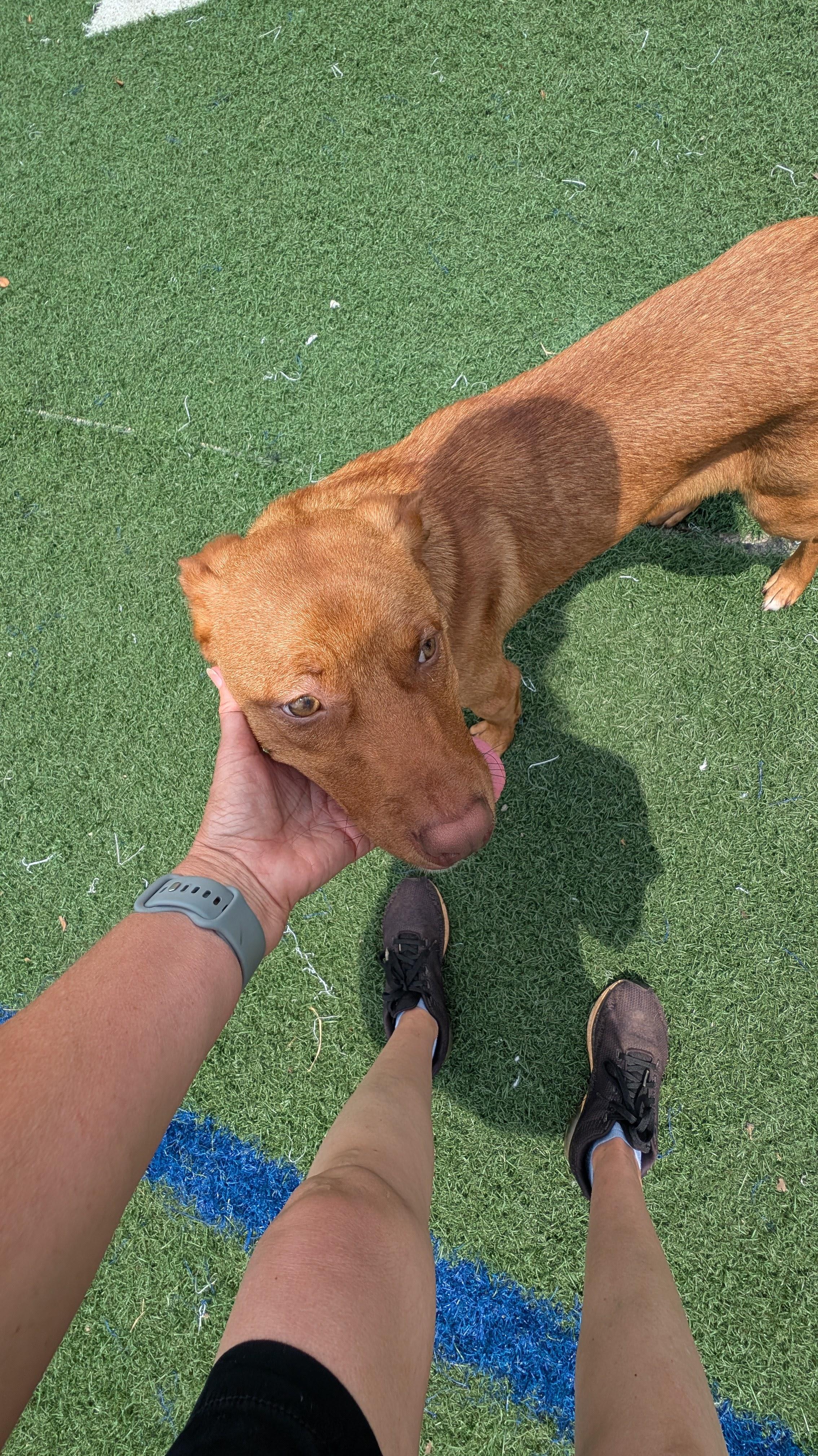 Cooper and Monte - can be separated