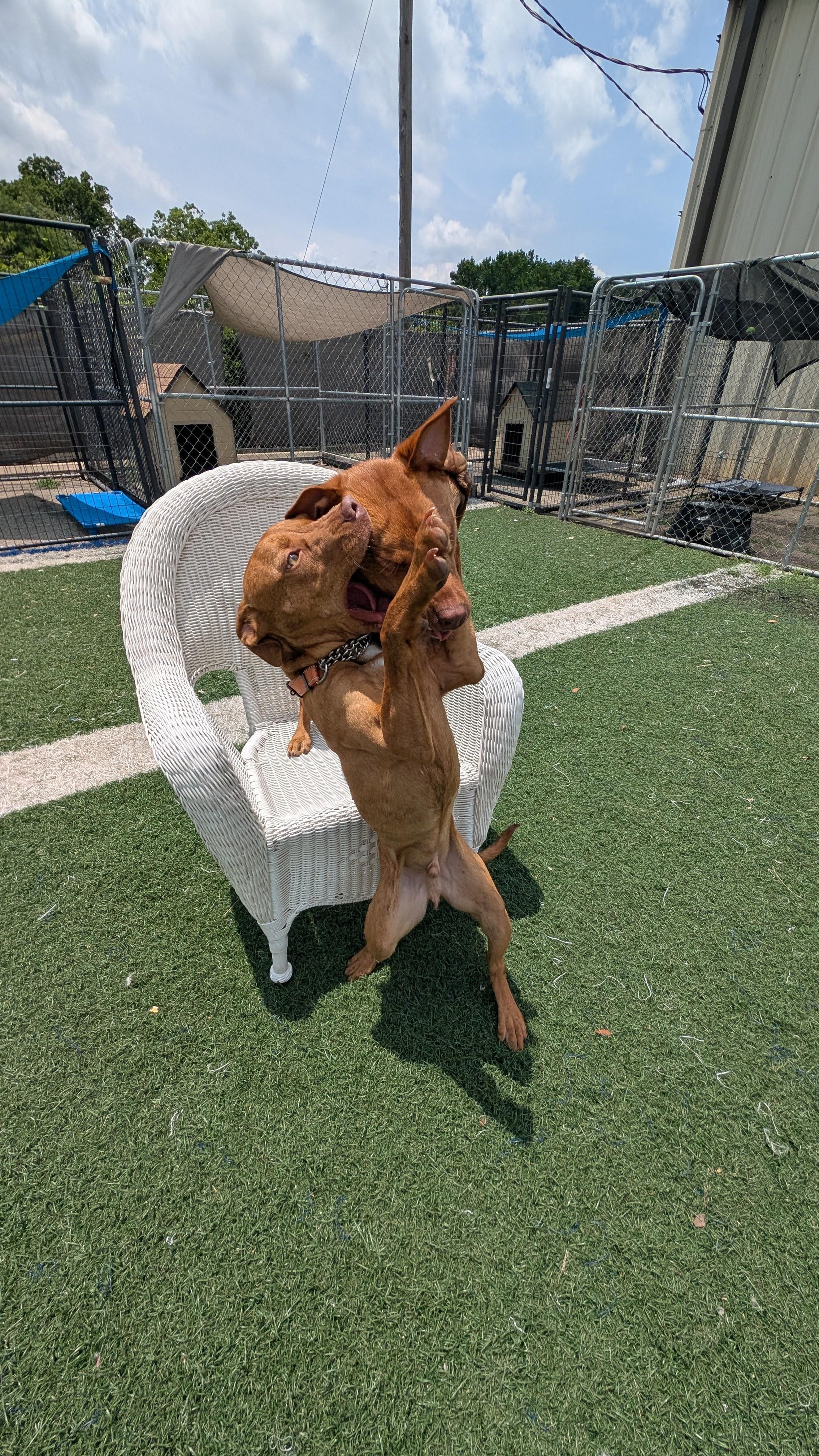 Cooper and Monte - can be separated