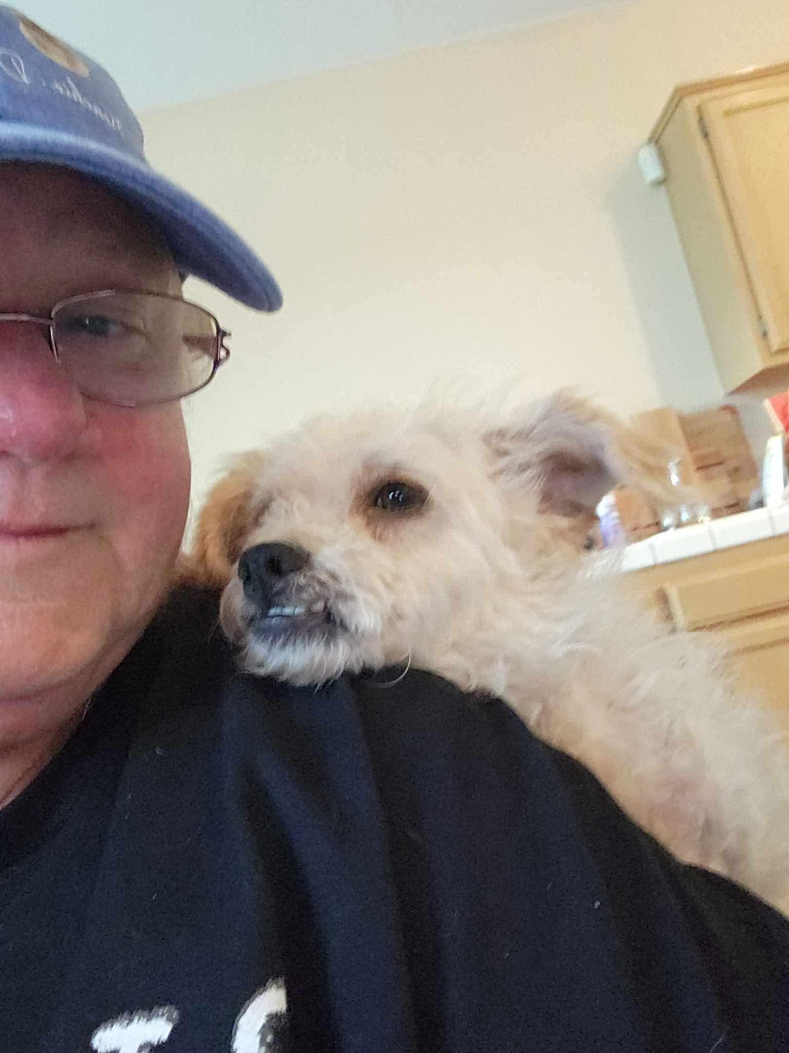 Teddy Bear photo 4