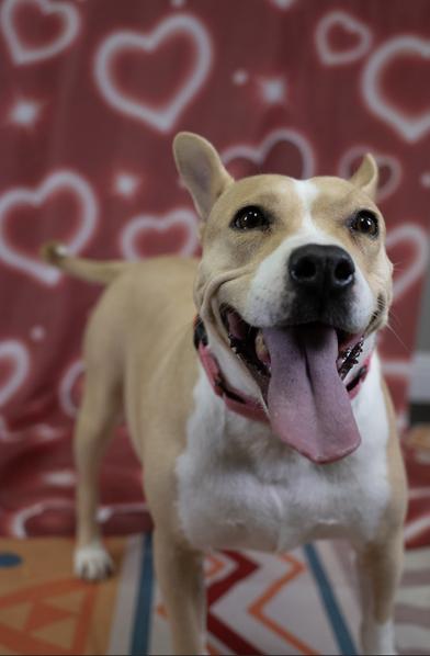 Maggie — thumbnail 5