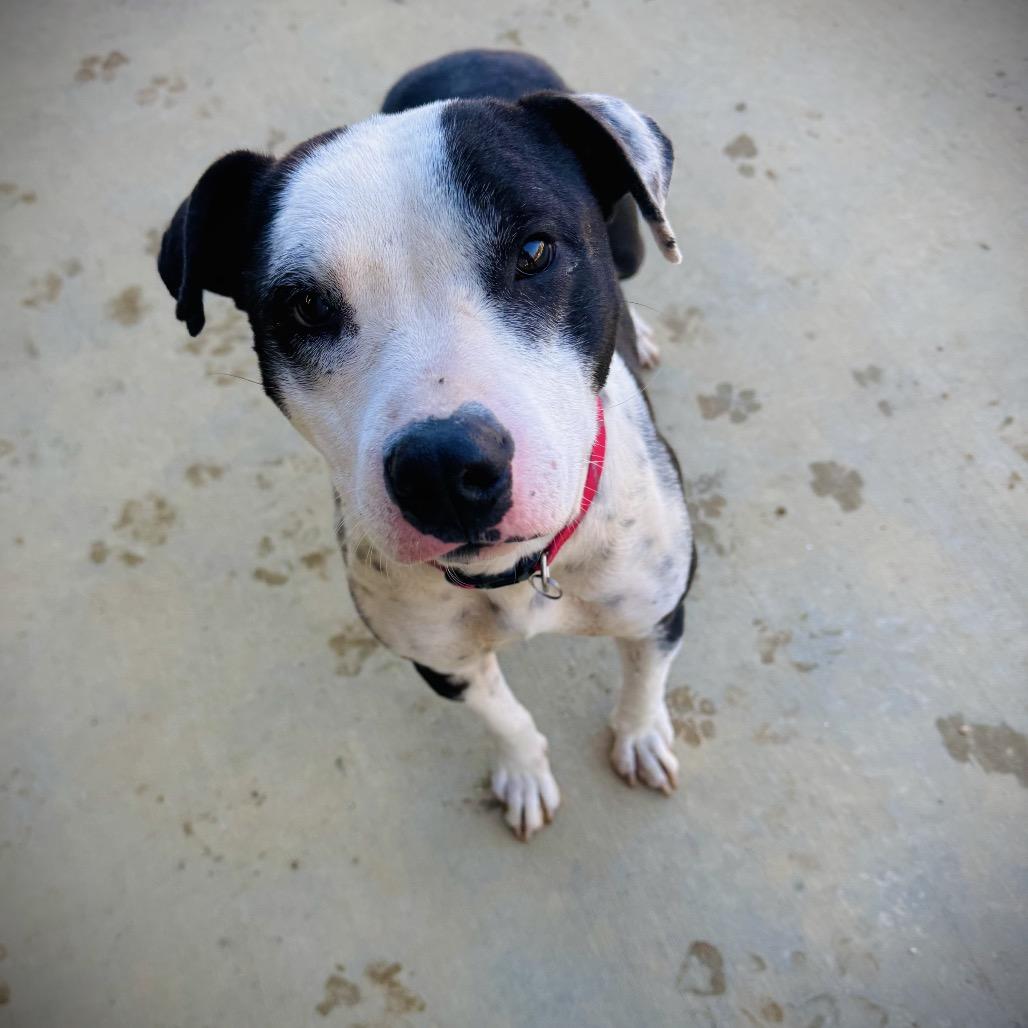 Babybel — thumbnail 2