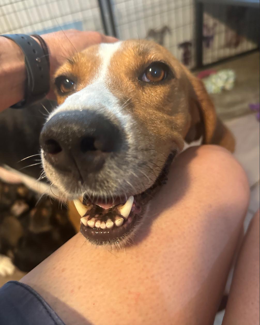 Delilah