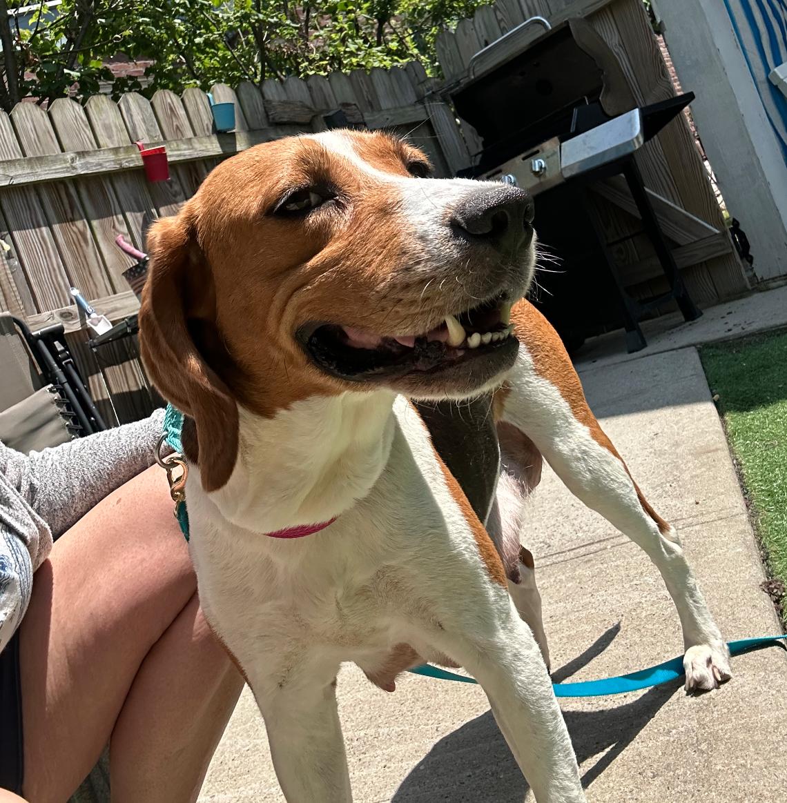 Delilah