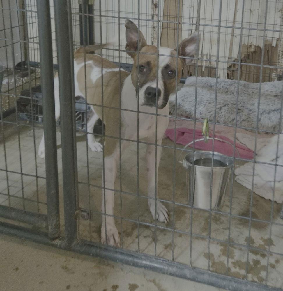 Hawkeye *~ — thumbnail 3