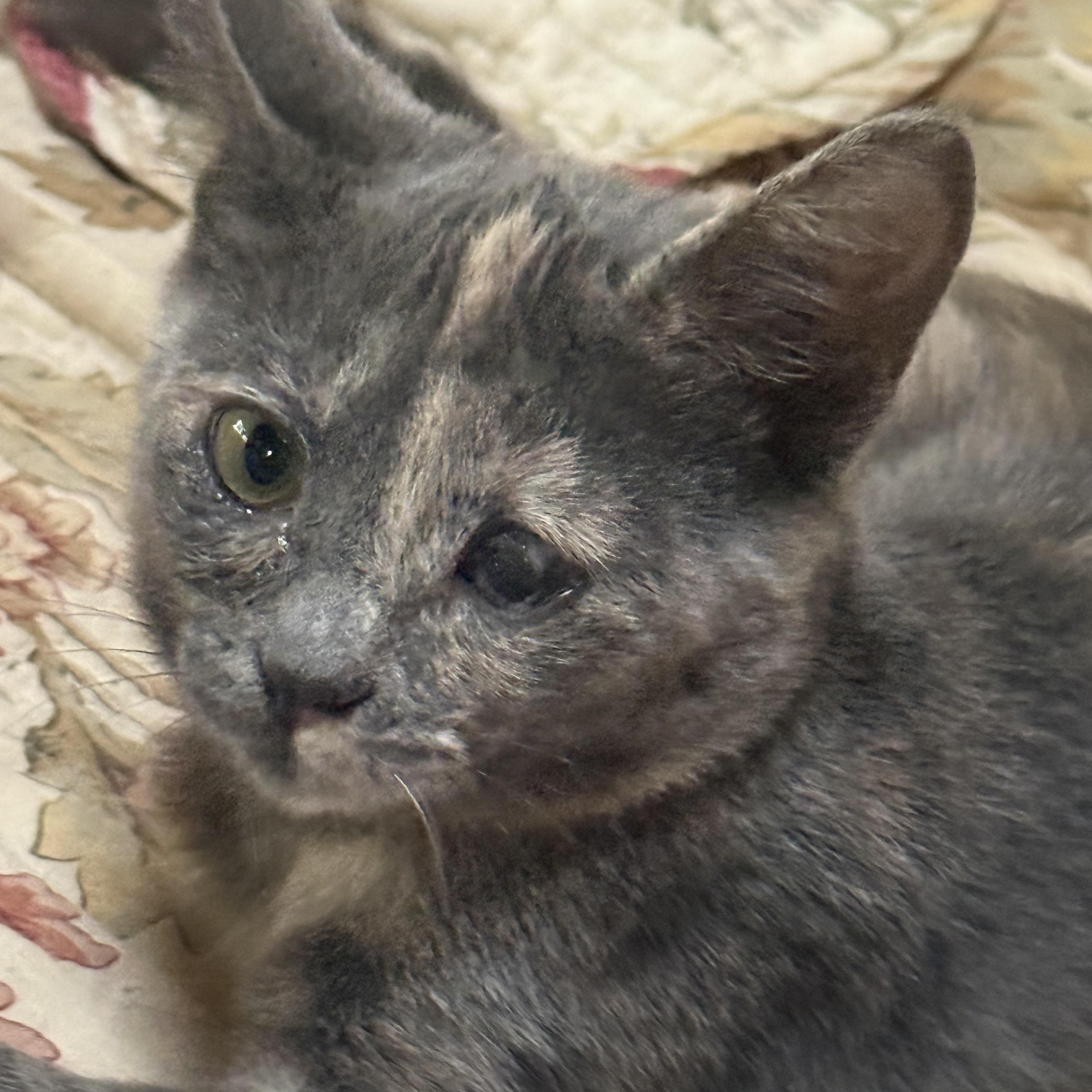 Emjay 0125 — thumbnail 2