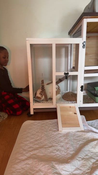 Enlarge Charlie, a Adopted Mini Lop in New York, NY video 4/4