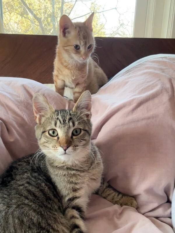 Hopper — thumbnail 2