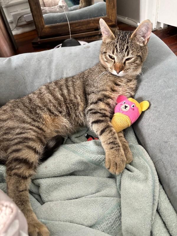 Hopper — thumbnail 4