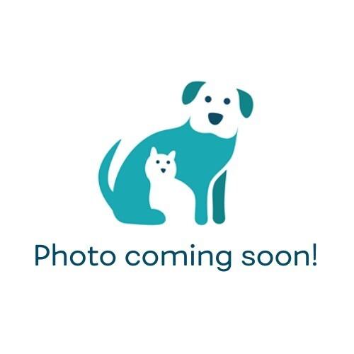 Precious thumbnail 2