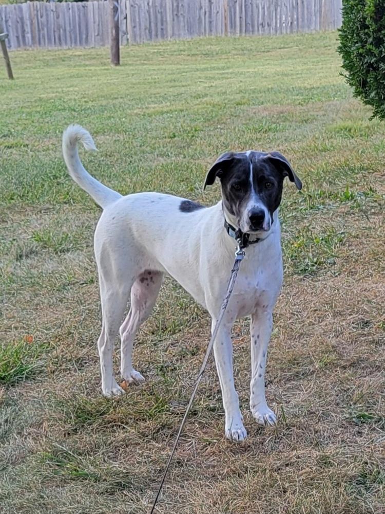 Penny Sue thumbnail 4