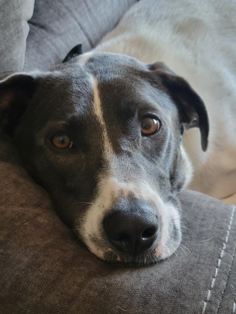 Penny Sue thumbnail 5