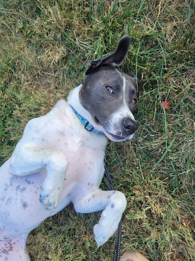 Penny Sue thumbnail 6