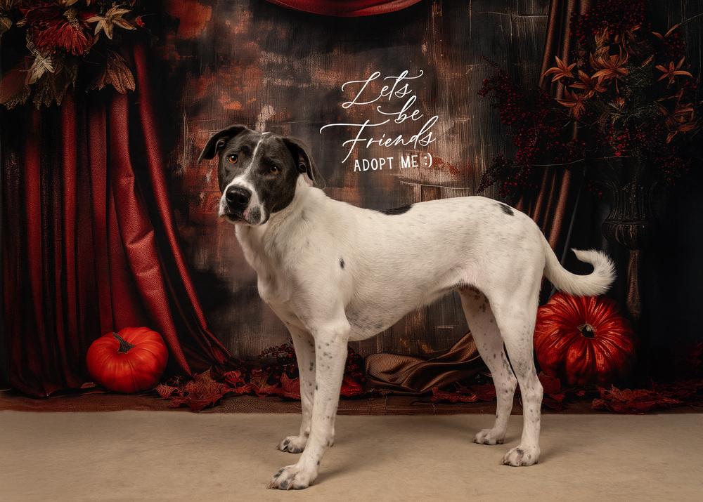 Penny Sue thumbnail 7