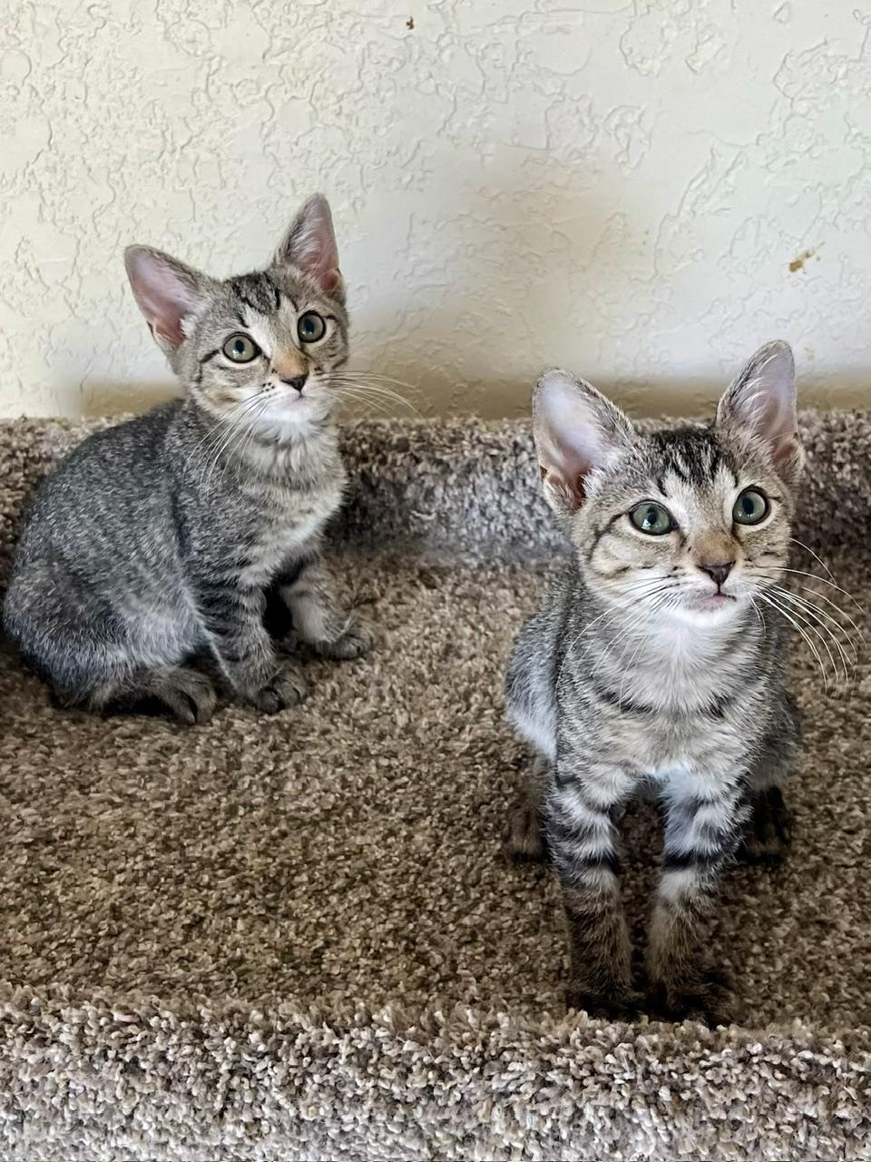 Holly & Lauren - BONDED